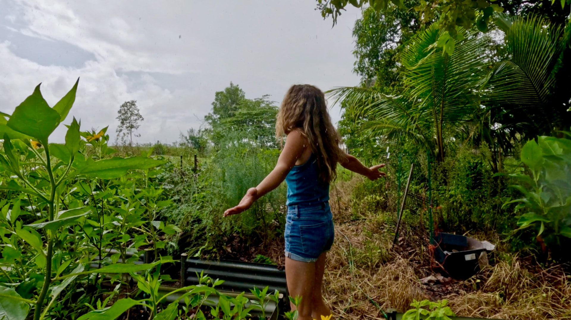 Elle standing in the rain among lush vegetables, sunflowers and palms in her Queensland garden